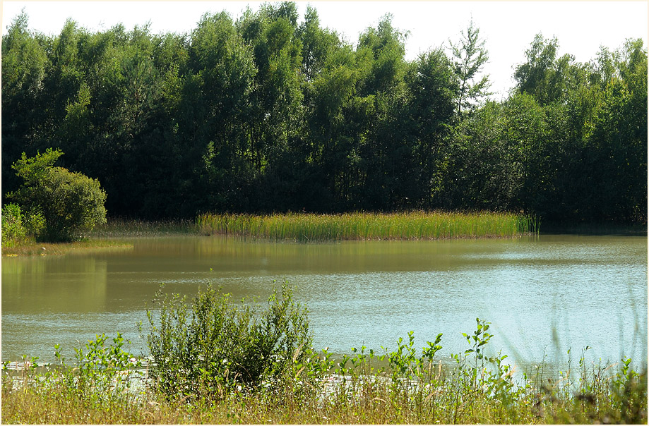 Tongrube, Wahner Heide