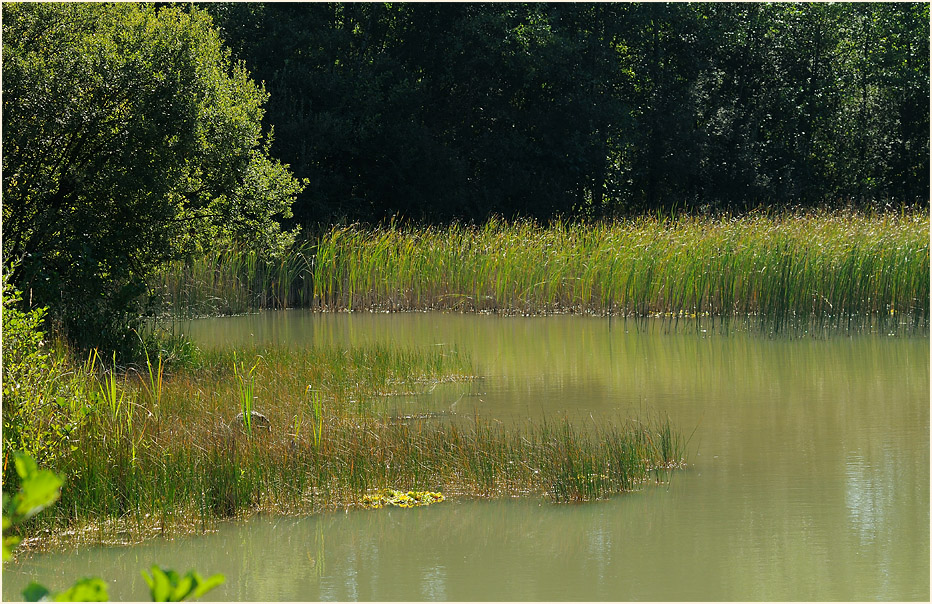 Tongrube, Wahner Heide