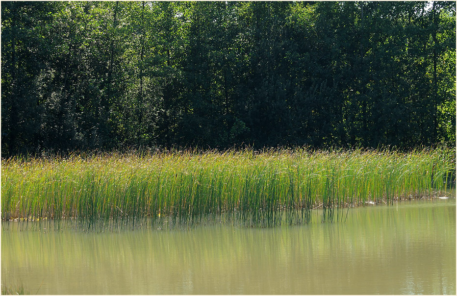 Tongrube, Wahner Heide