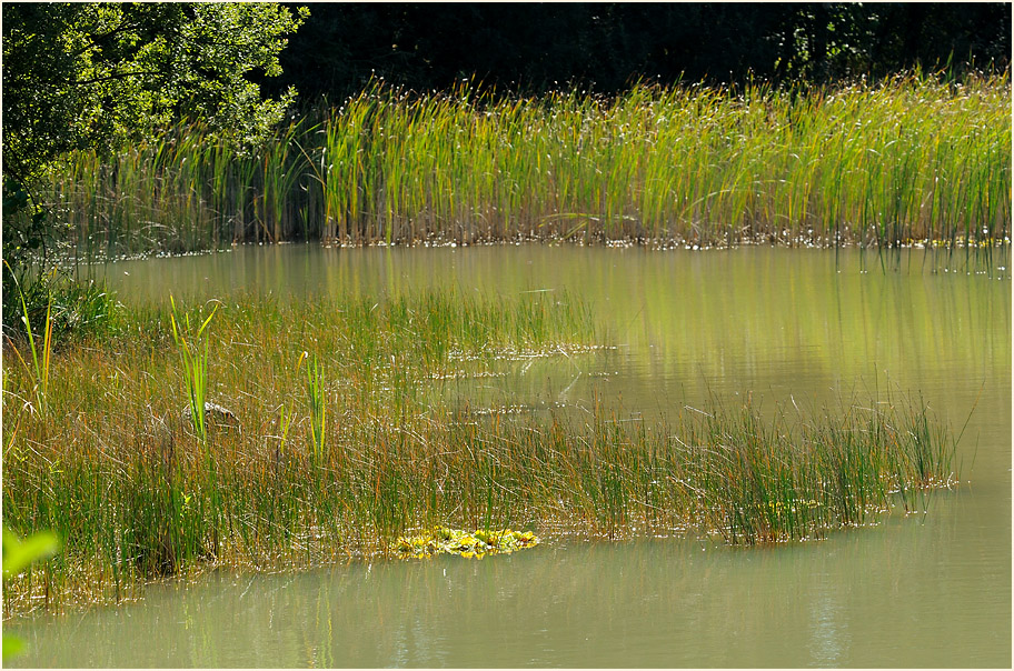 Tongrube, Wahner Heide