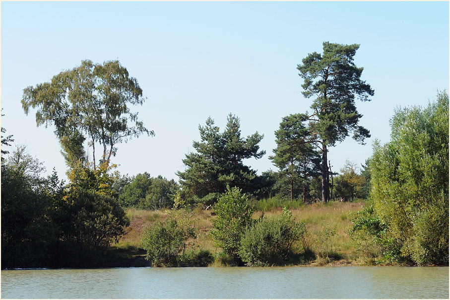 Tongrube, Wahner Heide