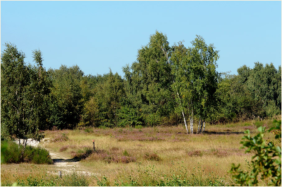 Wahner Heide