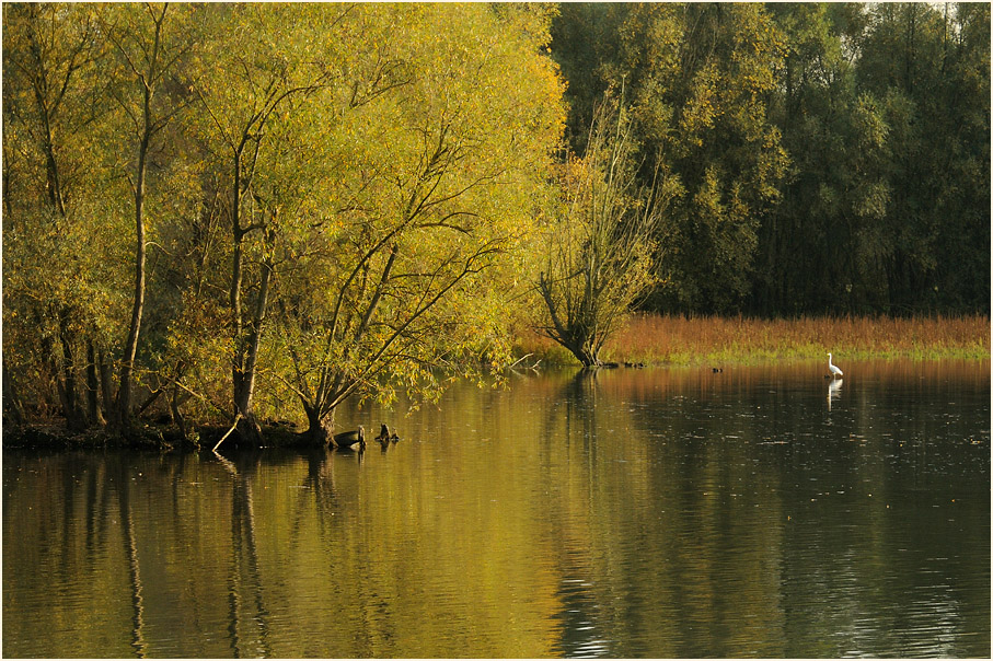 Walsumer Rheinaue Duisburg