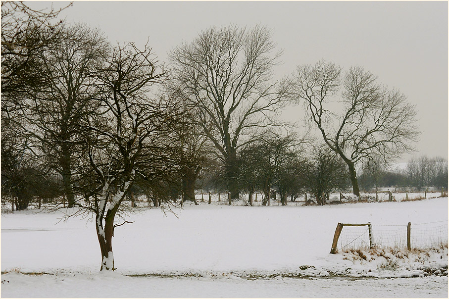 Winter, Walsumer Rheinaue Duisburg