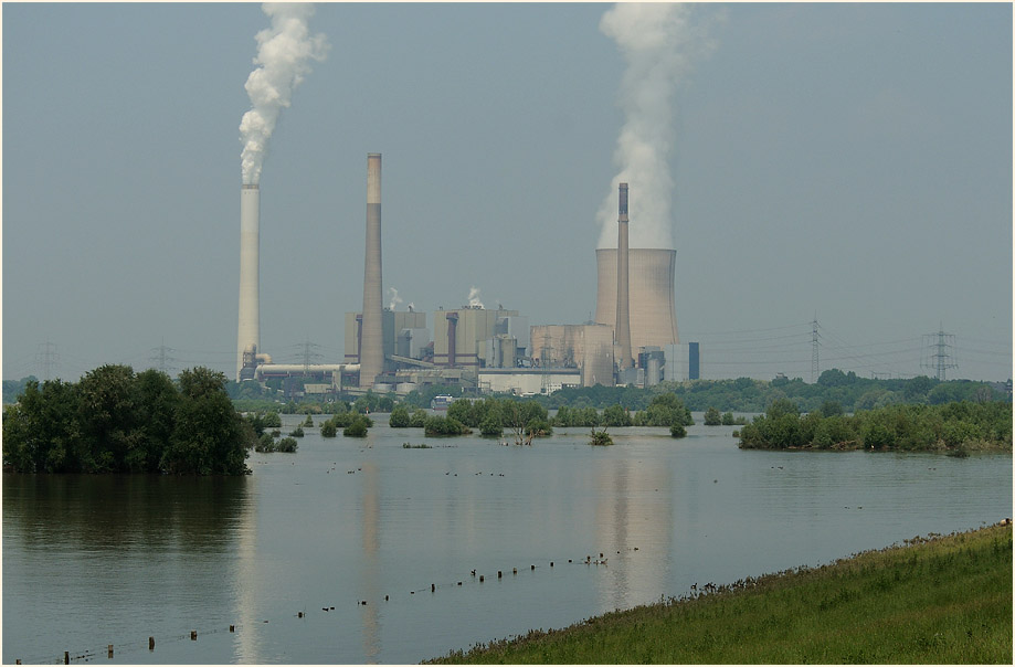 Hochwasser, Walsumer Rheinaue Duisburg