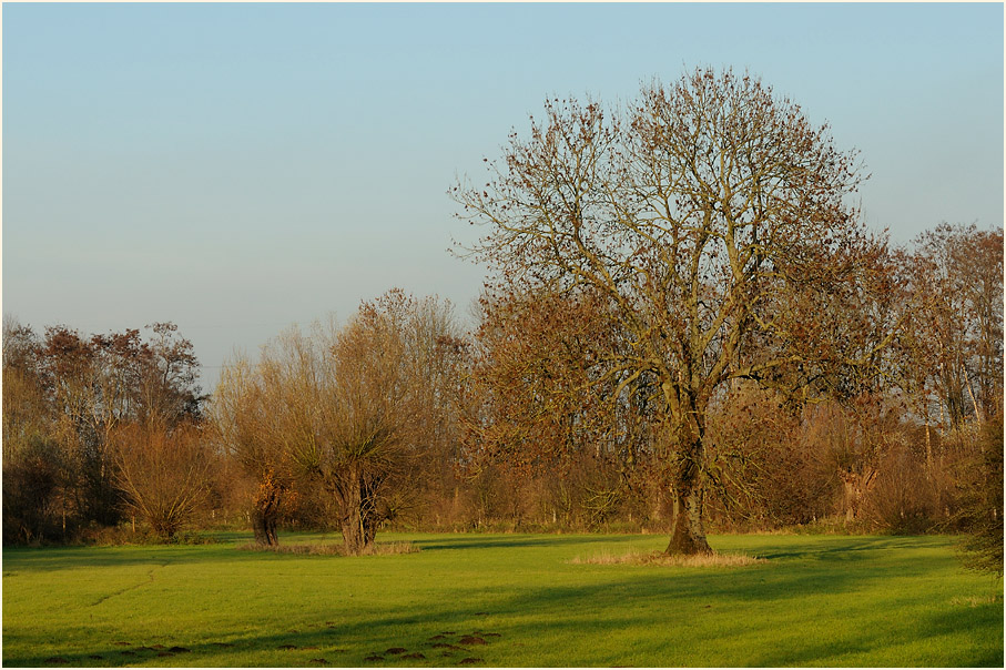 Walsumer Rheinaue Duisburg