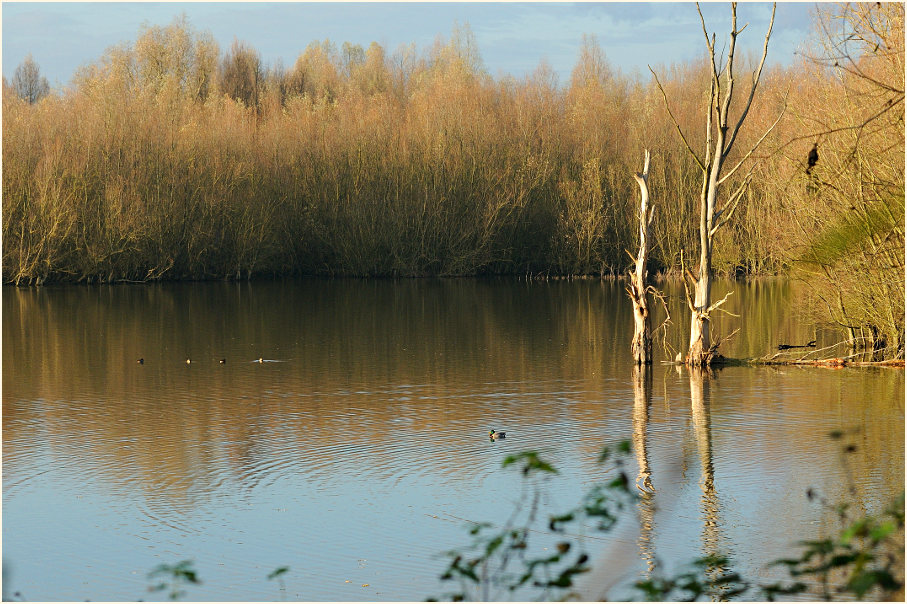 Walsumer Rheinaue Duisburg