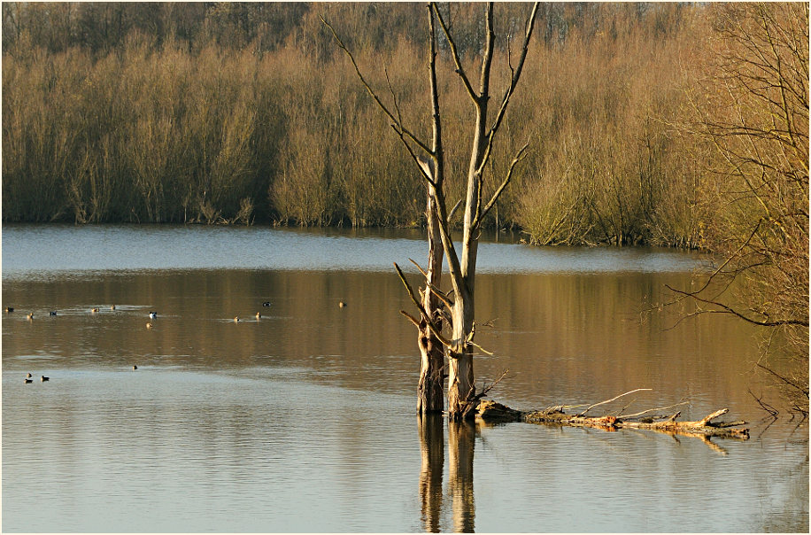 Walsumer Rheinaue Duisburg
