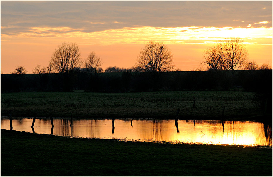 Walsumer Rheinaue Duisburg