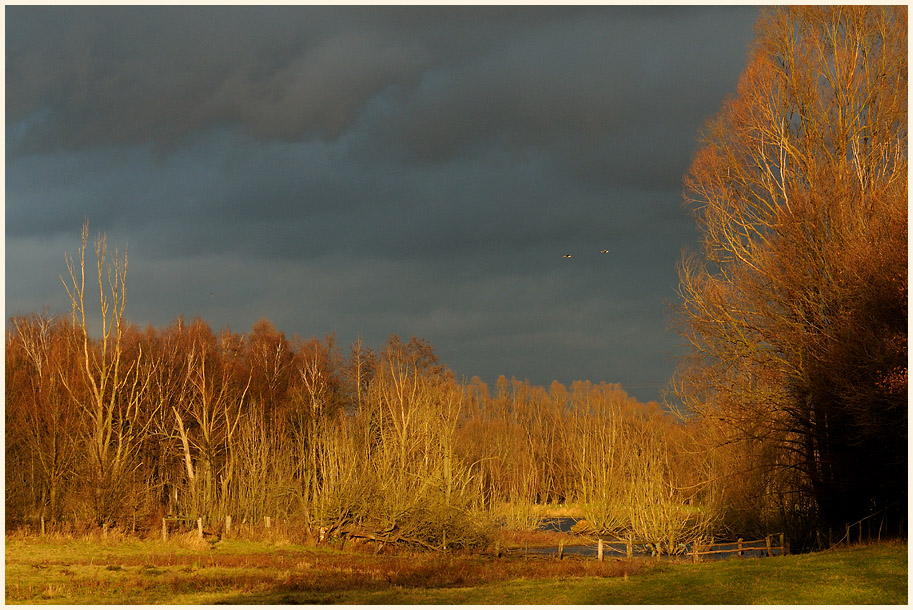Walsumer Rheinaue Duisburg