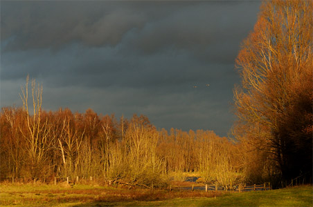 vergrößern