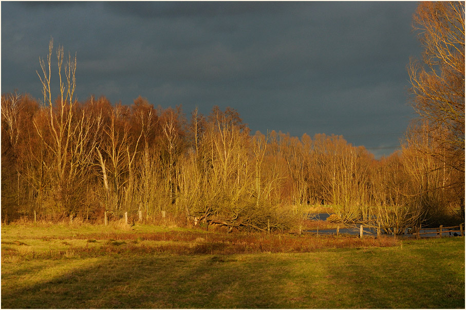Walsumer Rheinaue Duisburg