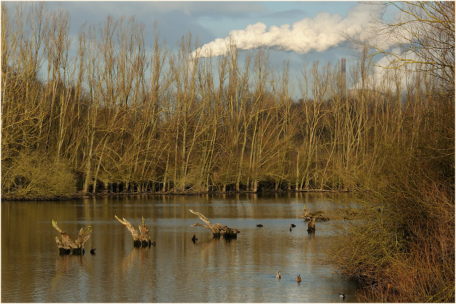 Walsumer Rheinaue Duisburg