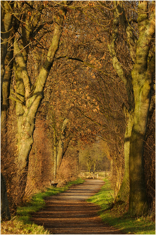 Walsumer Rheinaue Duisburg