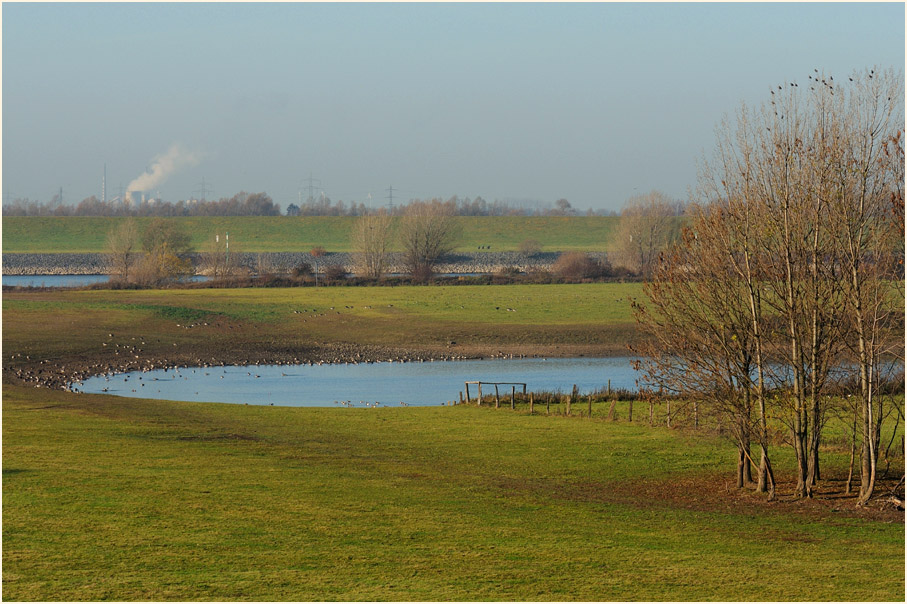 Walsumer Rheinaue Duisburg