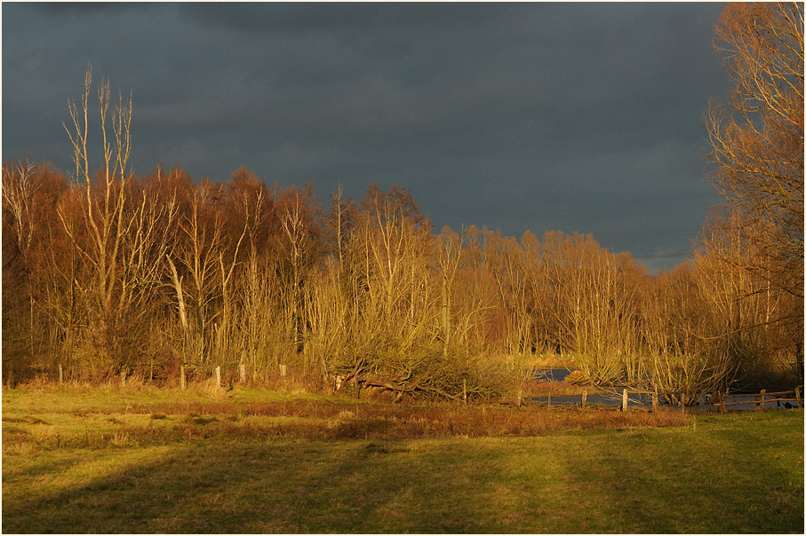 Walsumer Rheinaue Duisburg