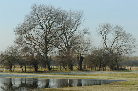 vergrößern