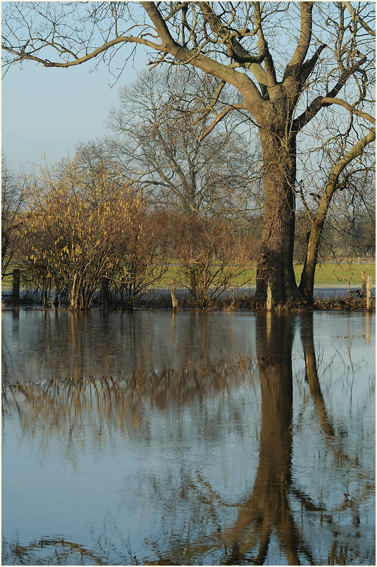 Walsumer Rheinaue Duisburg