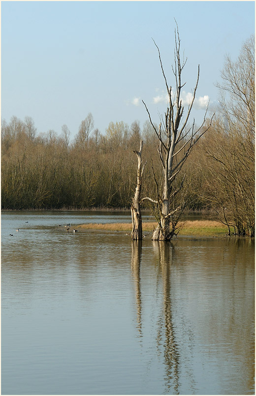 Walsumer Rheinaue Duisburg