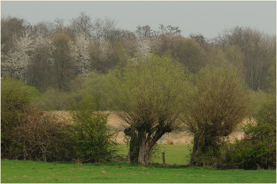 Walsumer Rheinaue Duisburg