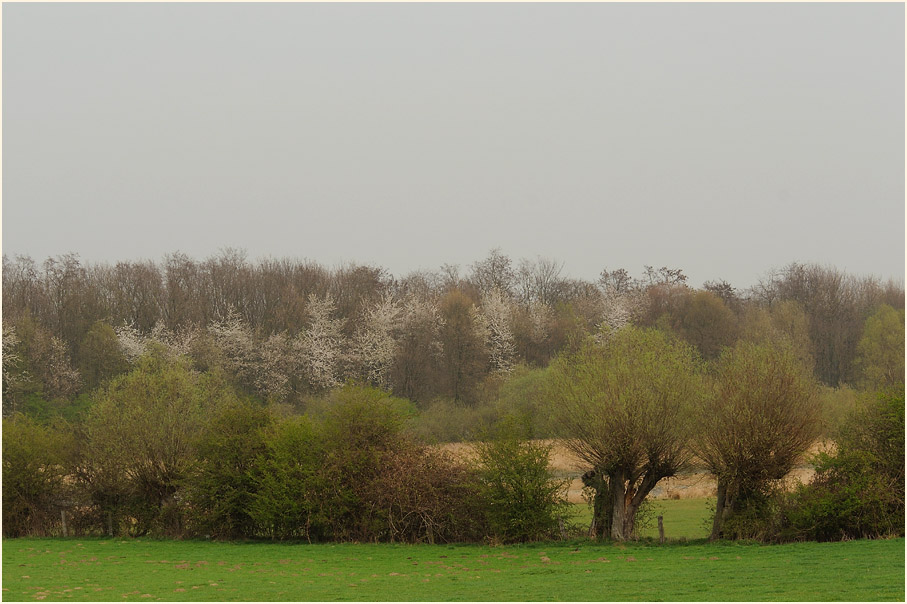 Walsumer Rheinaue Duisburg