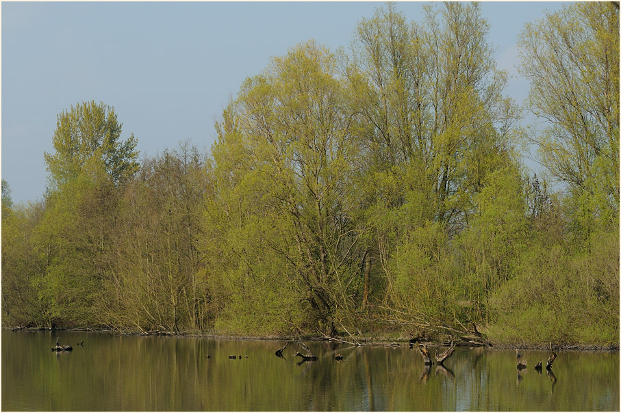 Walsumer Rheinaue Duisburg