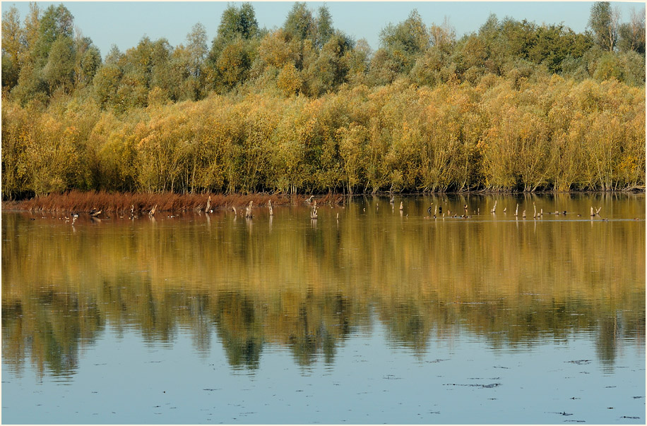 Walsumer Rheinaue Duisburg
