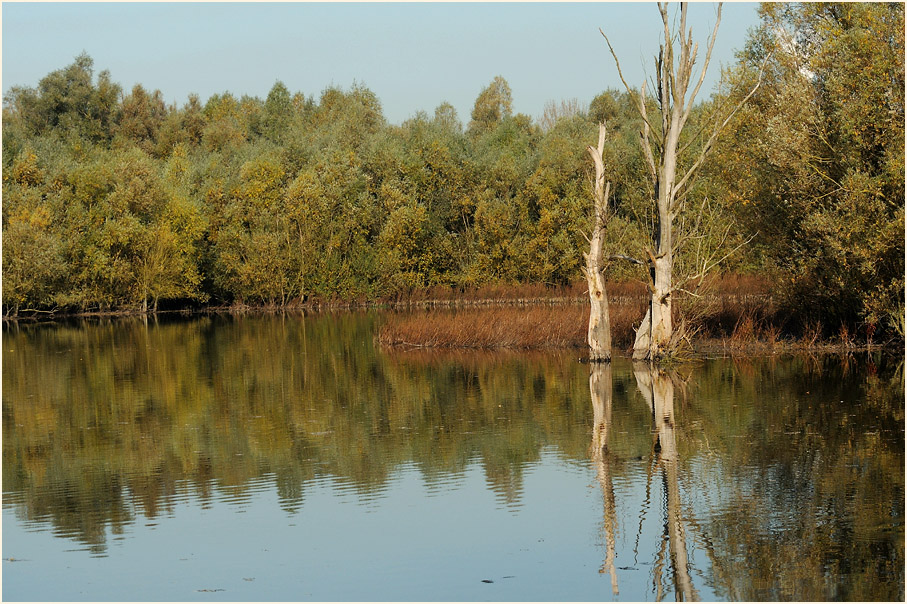 Walsumer Rheinaue Duisburg