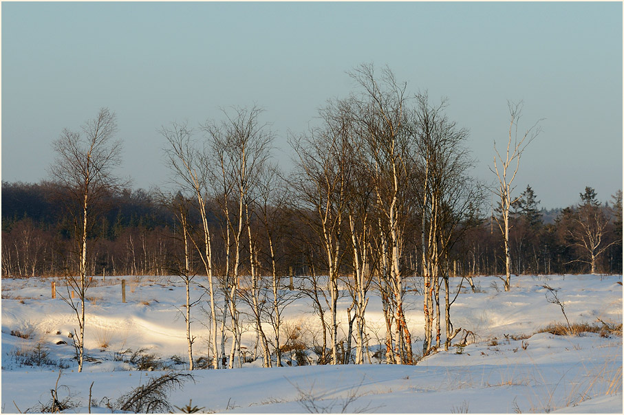 Mecklenbruch Hochsolling