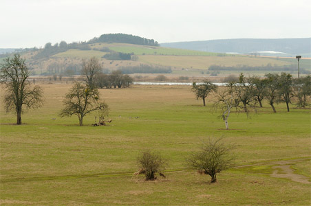 vergrößern