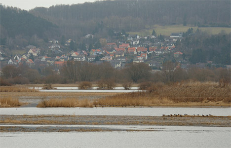 vergrößern