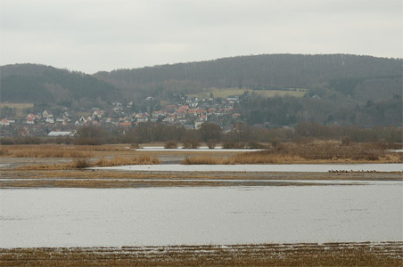 vergrößern