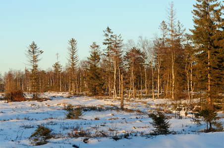 vergrößern