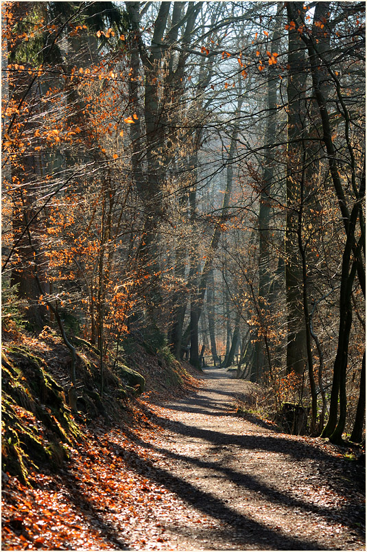 Im Hasselbachtal bei Holzminden