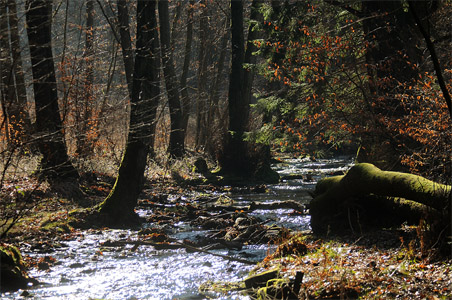 vergrößern