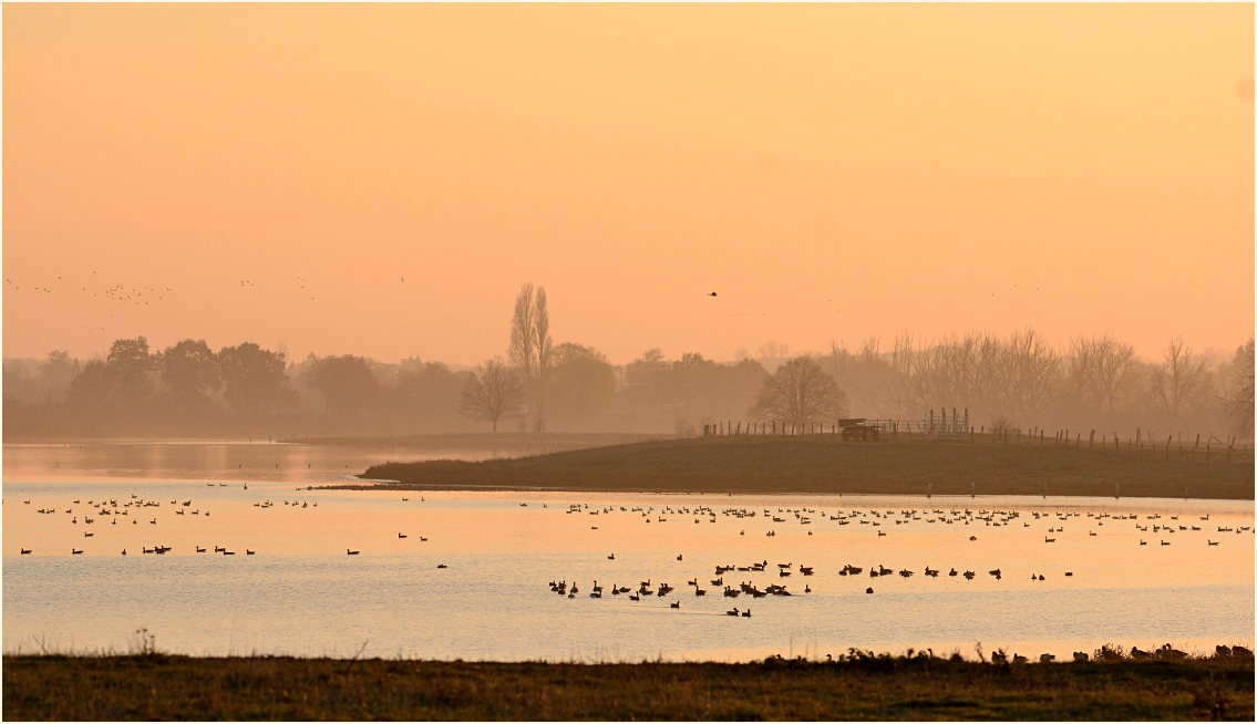 Abendliche Flutmulde, Bislicher Insel Xanten