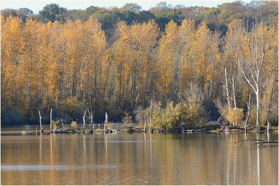 Bislicher Insel Xanten