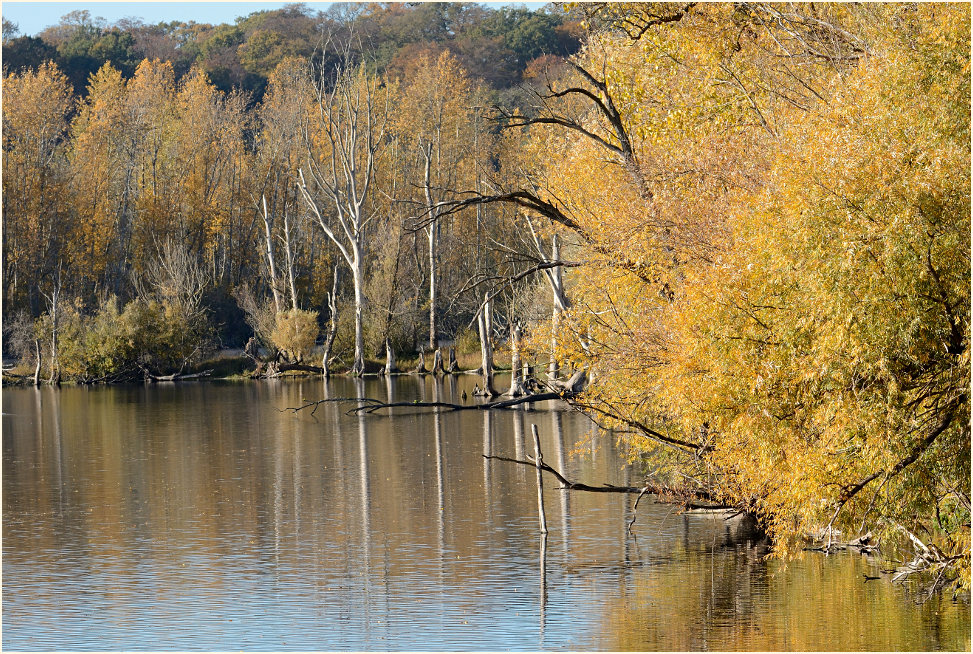 Bislicher Insel Xanten