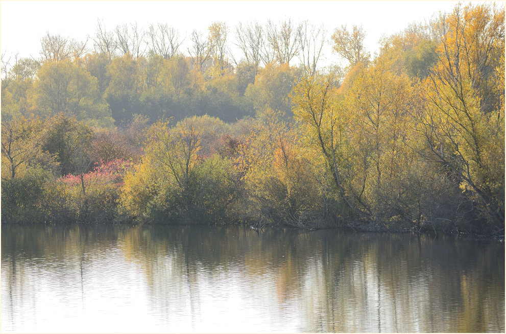 Bislicher Insel Xanten