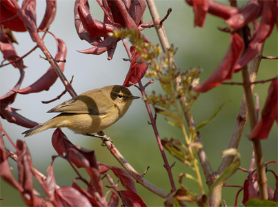 vergr&ouml;&szlig;ern