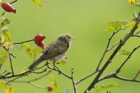 vergr&ouml;&szlig;ern