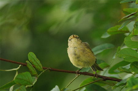 vergr&ouml;&szlig;ern