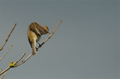 vergr&ouml;&szlig;ern