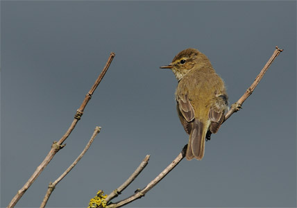 vergr&ouml;&szlig;ern