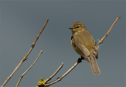 vergr&ouml;&szlig;ern