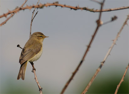 vergr&ouml;&szlig;ern