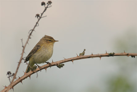 vergr&ouml;&szlig;ern