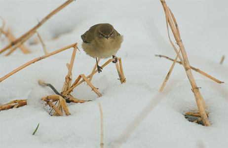 vergr&ouml;&szlig;ern