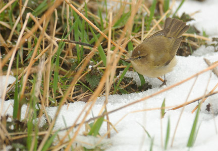 vergr&ouml;&szlig;ern