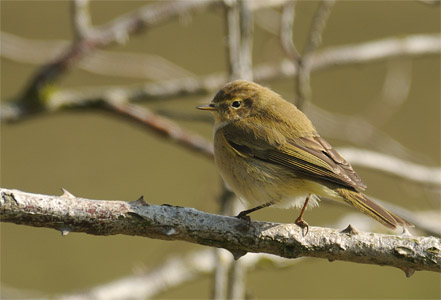 vergr&ouml;&szlig;ern